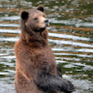 Meet your Posher, Bonnie